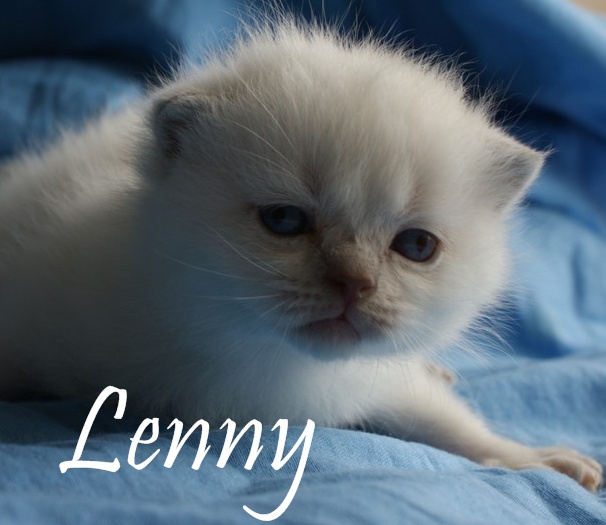 l