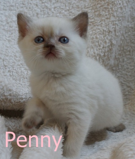 Penny12.JPG